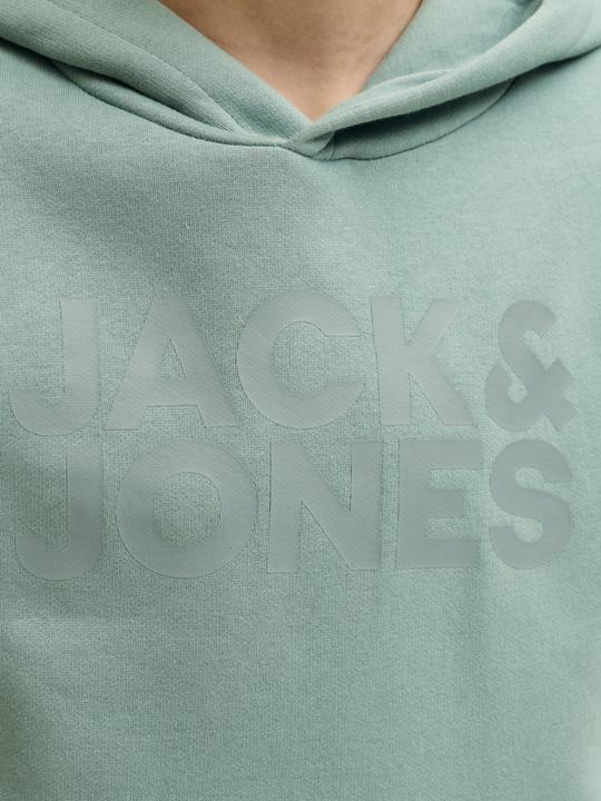 Produktbild Jack & Jones Jjecorp Logo Sweat Hood Noos Jnr (152)