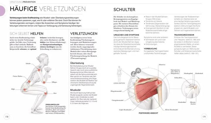 Produktbild Krafttraining – Die Anatomie verstehen (Deutsch, Austin Current, 2021)