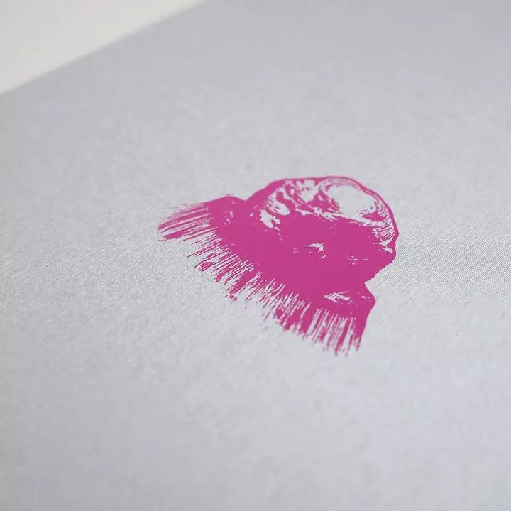 Produktbild Warum landen Asteroiden immer in Kratern? (Deutsch, Science Busters, Martin Puntigam, Florian Freistetter, 2017)