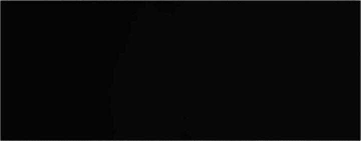 Actual product image vidaXL Lacey (60 x 23.5 x 4 cm)