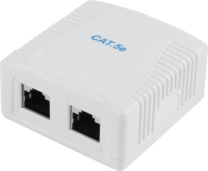Gembird NCAC-2F5E-01 CAT5E FTP mount box