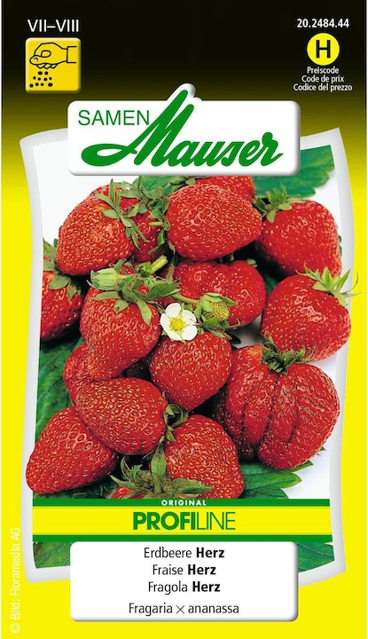Produktbild Samen Mauser Erdbeere F1 Herz Profiline (Früchtesamen)