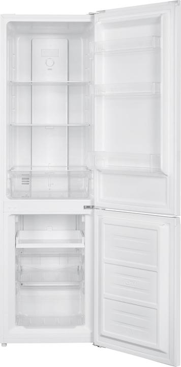 Image du produit SPC KKS3429-1 WS (253 l)