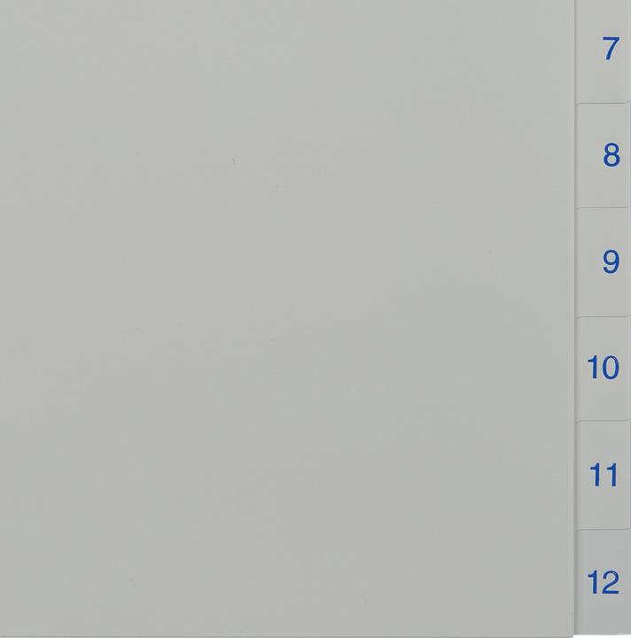 Produktbild Leitz Esselte Kunststoff-Register, Zahlen, A4, 1-12, weiss Universallochung, Masse: (B)225 x (T)2 x (H)297