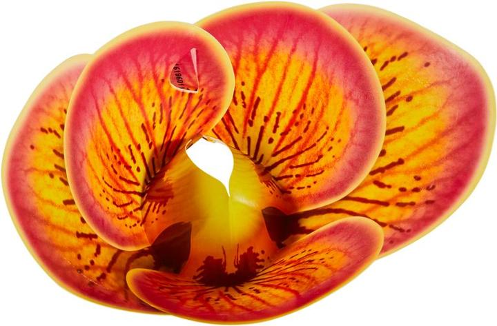 Image du produit Neocid Piège à mouches à fruit