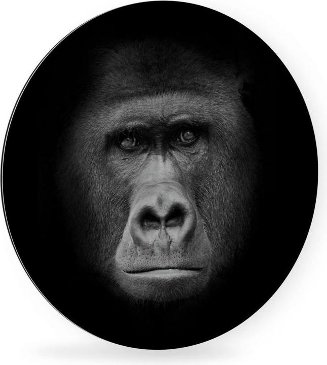 Image du produit Trenddeko gorille (45 x 45 cm)