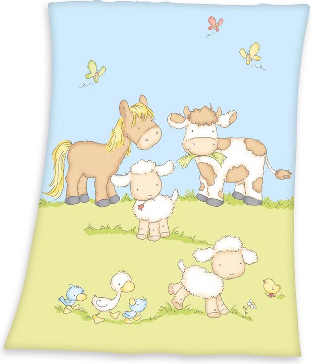 Herding Fynn Animaux de la ferme (75 x 100 cm)