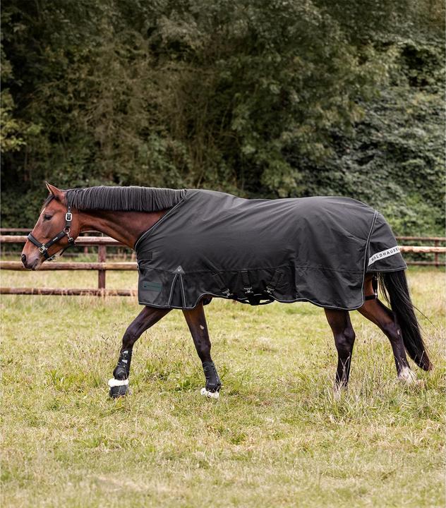 Actual product image Waldhausen Scandic 250/100g (125 cm)