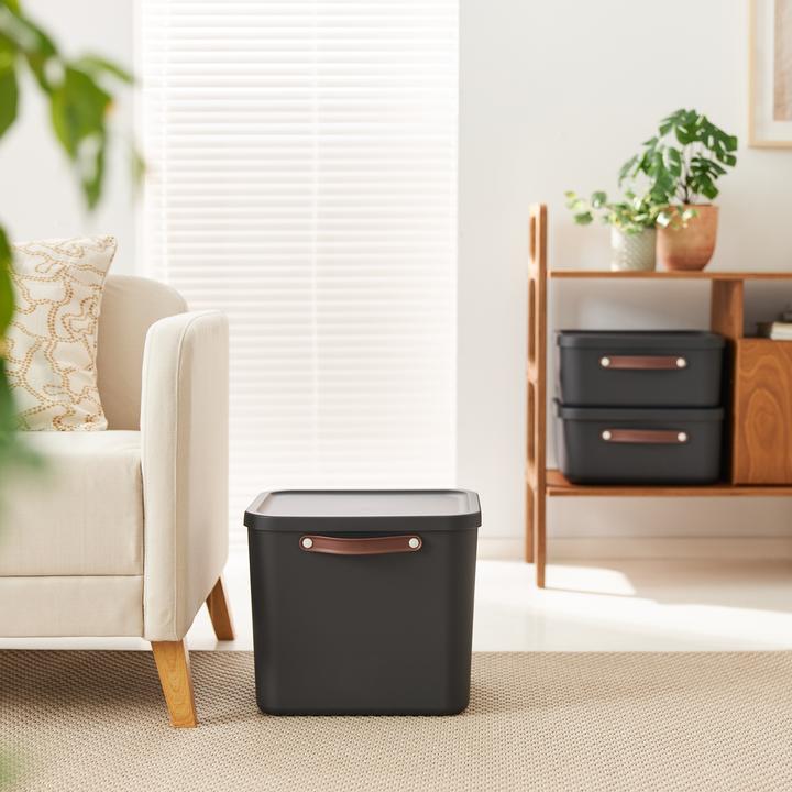 Produktbild Rotho Maloja (39.5 x 38 x 34 cm, 40 l)