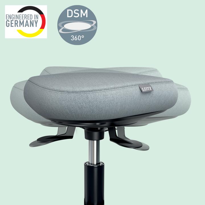 Actual product image Leitz Ergo Active