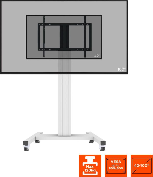 Immagine prodotto Celexon Carrello espositivo Professional Plus Fisso-42100-LP Paesaggio/Portrait (100", 120 kg)