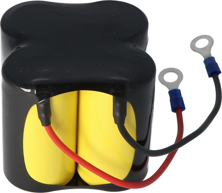 Actual product image AccuCell Battery Ceag CW270