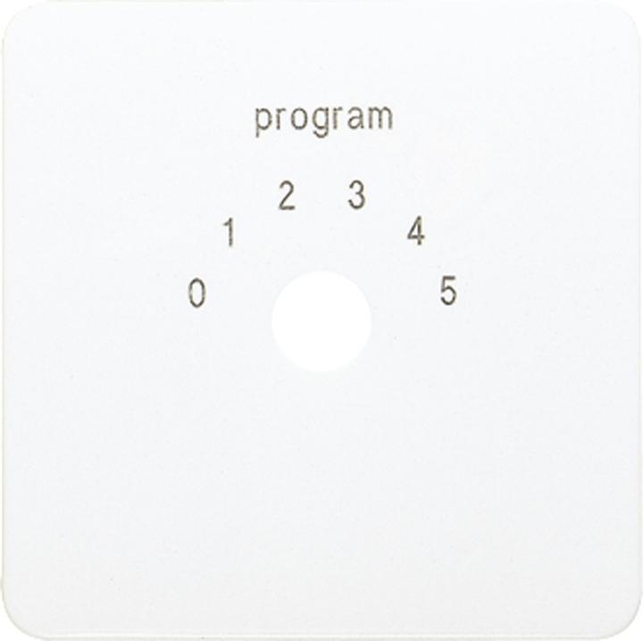 Actual product image JUNG Central plate CD aws glz Klemmbef CD594-9WW