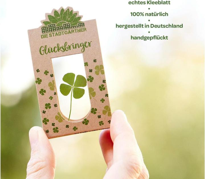 Actual product image Die Stadtgärtner Lucky charm (Dried flowers, 1x)
