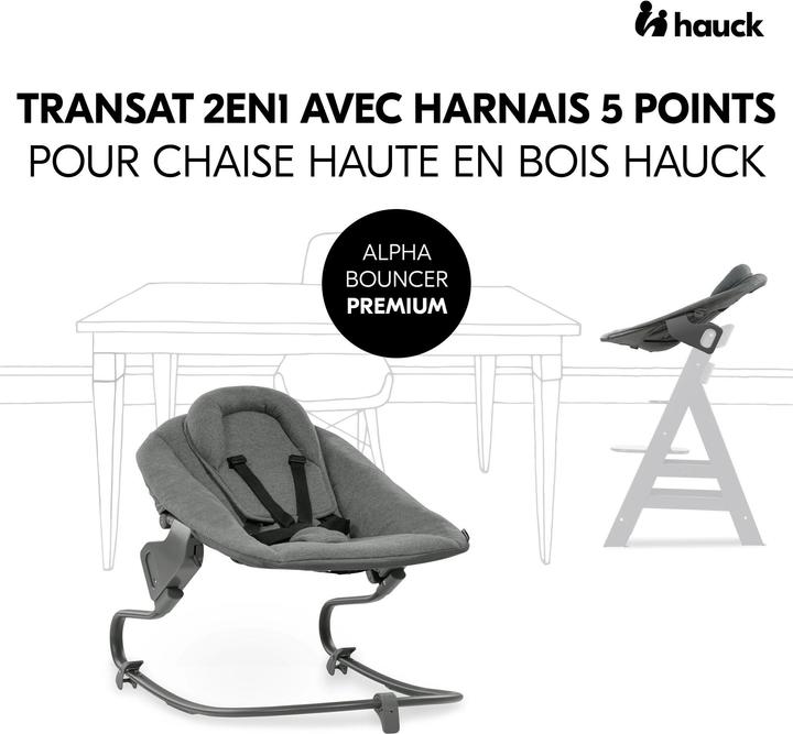Actual product image Hauck Alpha Bouncer