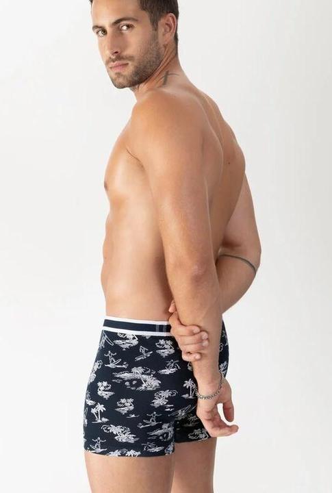Produktbild Mey Surf Beach BoxerBrief (XL)