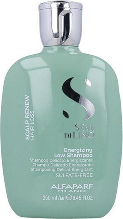 Image du produit Alfaparf Scalp Renew Energizing (1000 ml, Shampoing liquide)