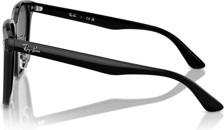 Actual product image Ray Ban RB2206D
