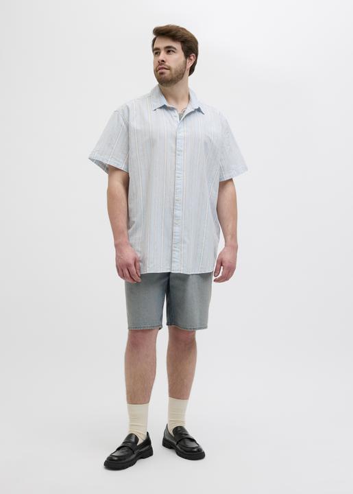 Immagine prodotto Jack & Jones Plus Size Relaxed Fit Hemd Hemd (4XL)