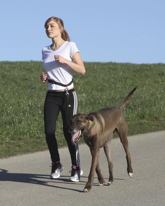 Produktbild Kerbl Active (Hund)