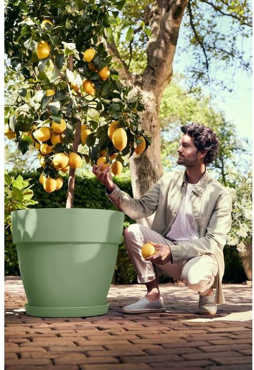 Produktbild Elho Vibia Campana Rund (47 x 40 cm)