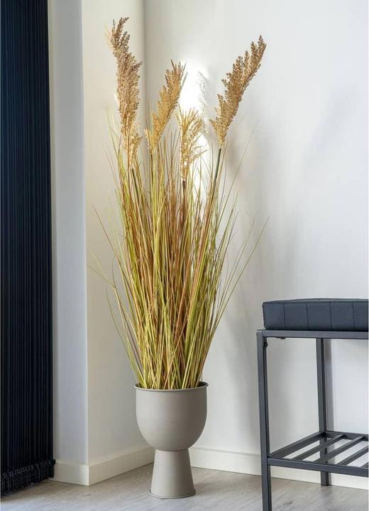 Actual product image House Nordic Sorghum grass (110 cm)
