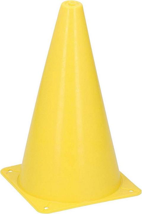 Actual product image Dunlop Pylons