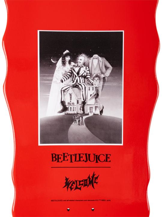 Image du produit Welcome Carousel on Widow (10")