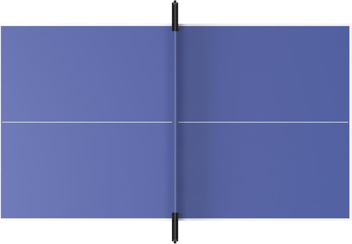 Actual product image Pongori TTT 100