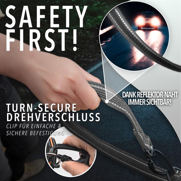 Produktbild Bluzelle 3m Hundeleine, Doppelleine Führleine mit Karabiner, Verstellbar (Spazieren)