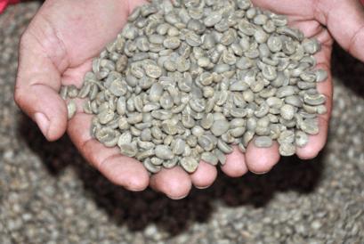 Image du produit Sonnentor Café vert (54 g)