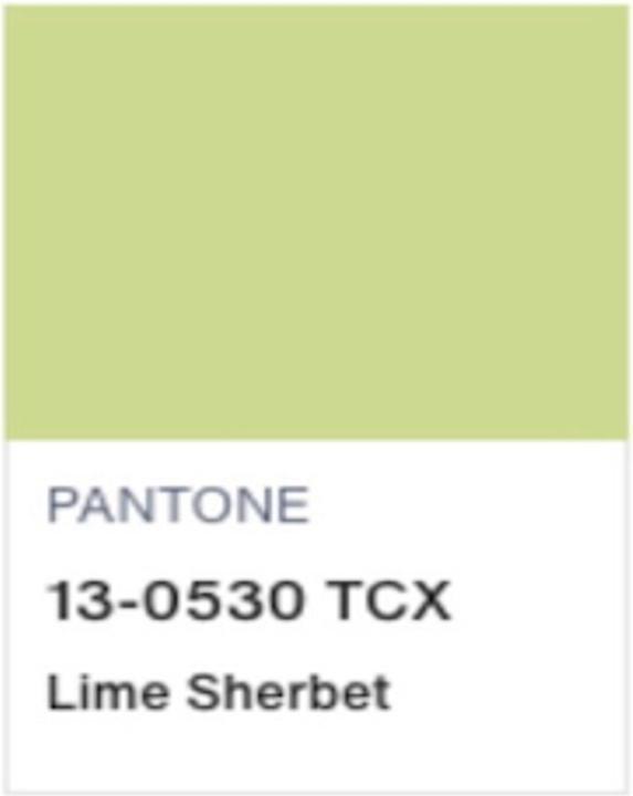 Produktbild Topshop TSCATE Sweatshirt Kapuzenpullover (S)