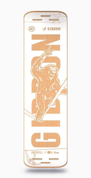 Actual product image Gibbon Giboard Arctic Rocker (1.06 m)