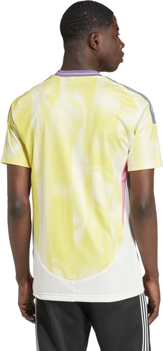 Image du produit adidas Juventus Turin Maillot Extérieur (L)