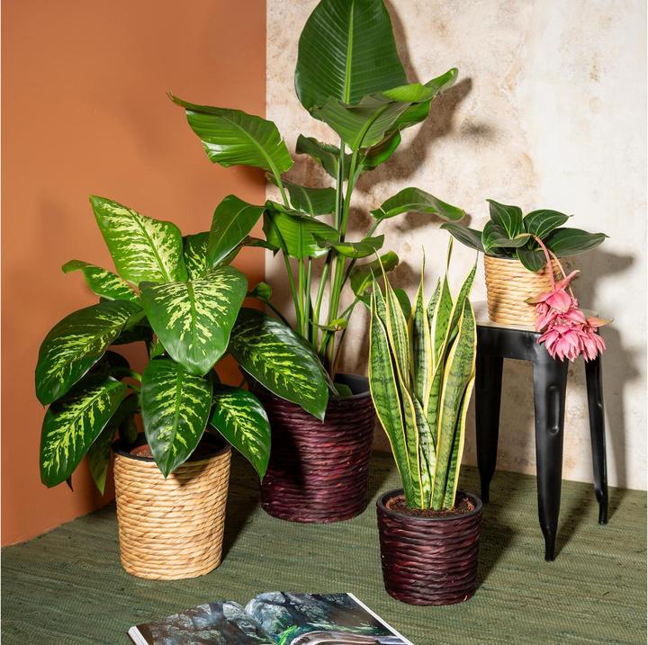 Produktbild Scheurich Water hyacinth 34, Korbgefäss/Korb-Pflanzgefäss/Korbtopf aus Water hyacinth Farbe: Brown, 34 (34 cm)