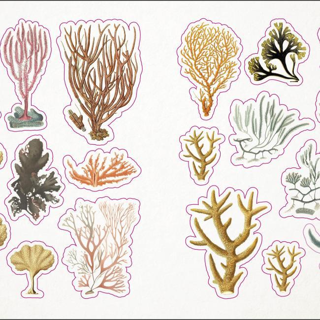 Produktbild The Seashore Sticker Anthology