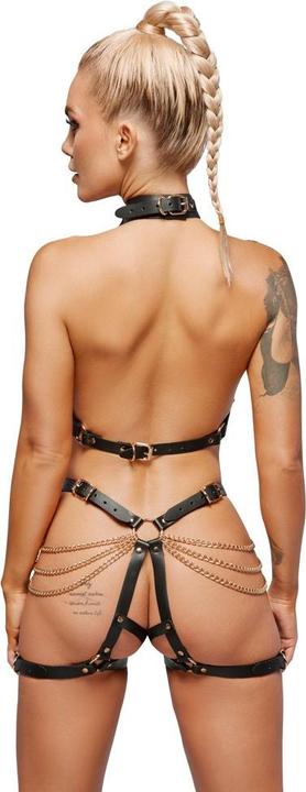 Actual product image Zado Harness set (S, M)