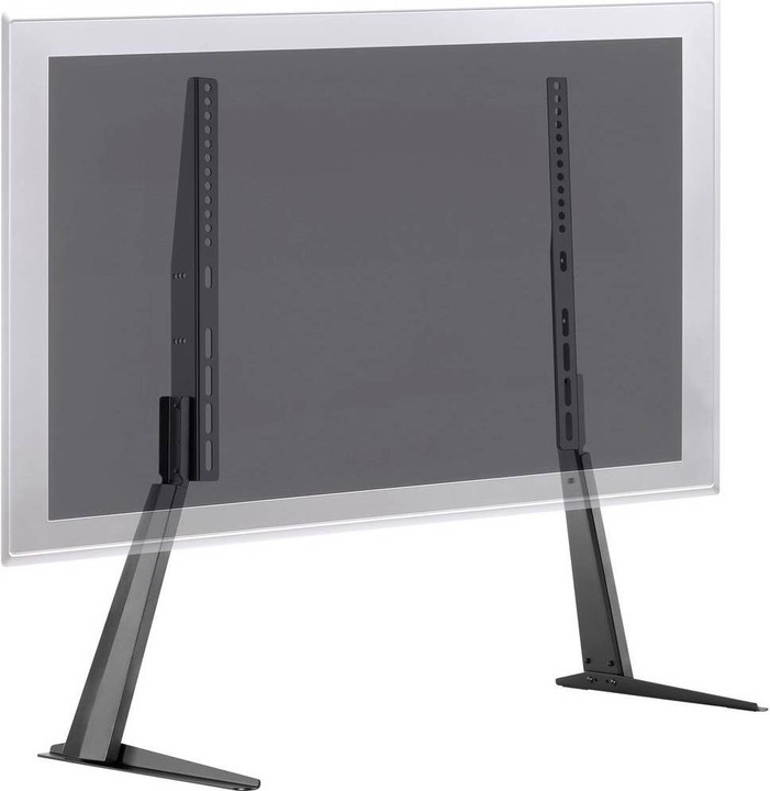 Actual product image myWall HP 39 L (65", 40 kg)