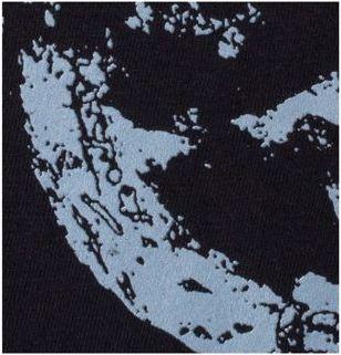 Produktbild Welcome Bird Brain Garment-Dyed T-Shirt (M)