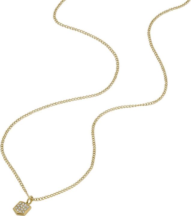 Actual product image Fossil Heritage Necklace (Shield, Stainless steel)