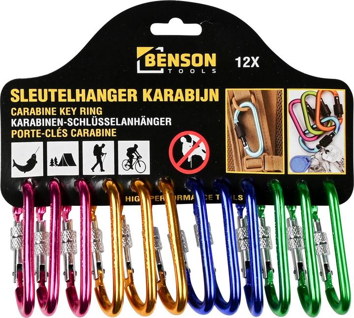 Benson Buntes Mini-Karabiner-Set mit Schraubverschluss, 12-tlg.