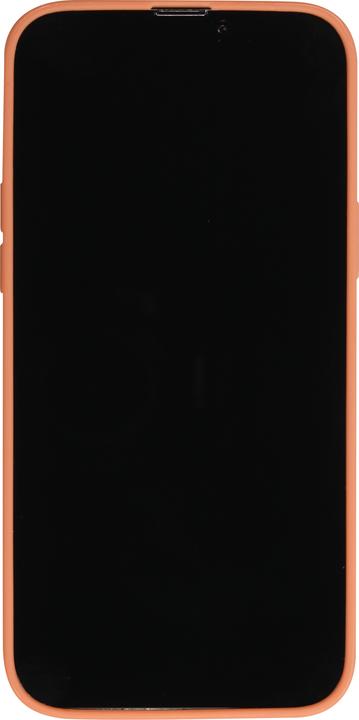 Actual product image PhoneLook Coque Silicone Mat (Apple iPhone 13 Pro Max)