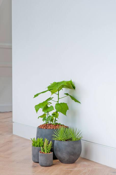 Actual product image Pottery Pots Charlie M