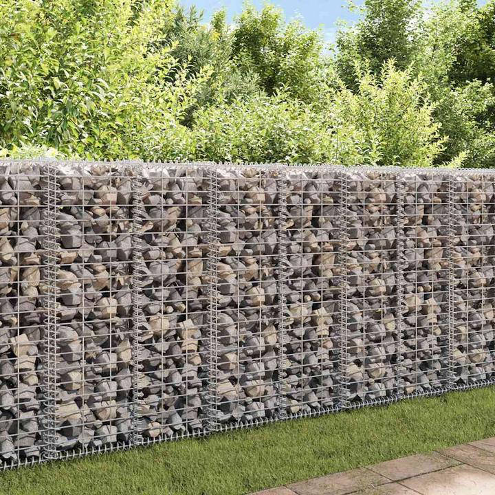 Immagine prodotto vidaXL Gabionenwand mit Abdeckung