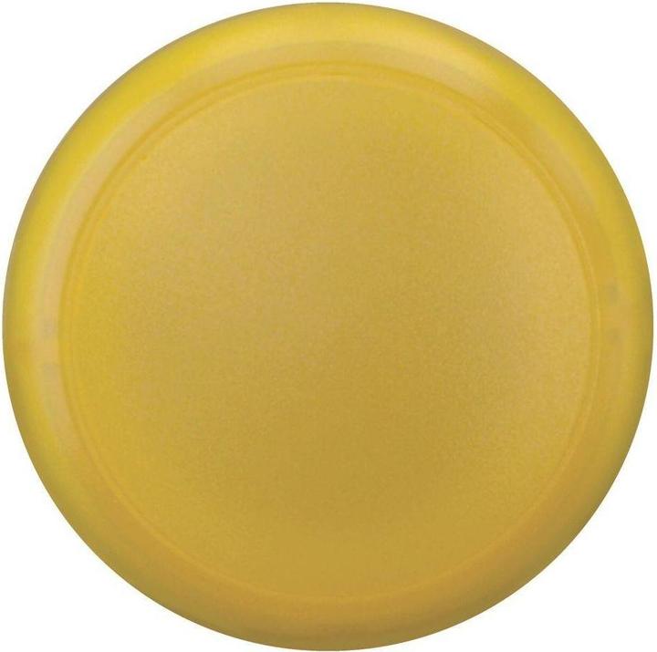Actual product image Eaton Indicator light
