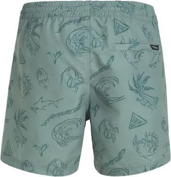Actual product image O'Neill MIX & MATCH CALI PRINT 15" SWIM SHORTS (L)