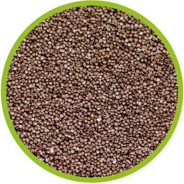 Produktbild Hobby Artemia Aufzuchtschale (2820 ml)