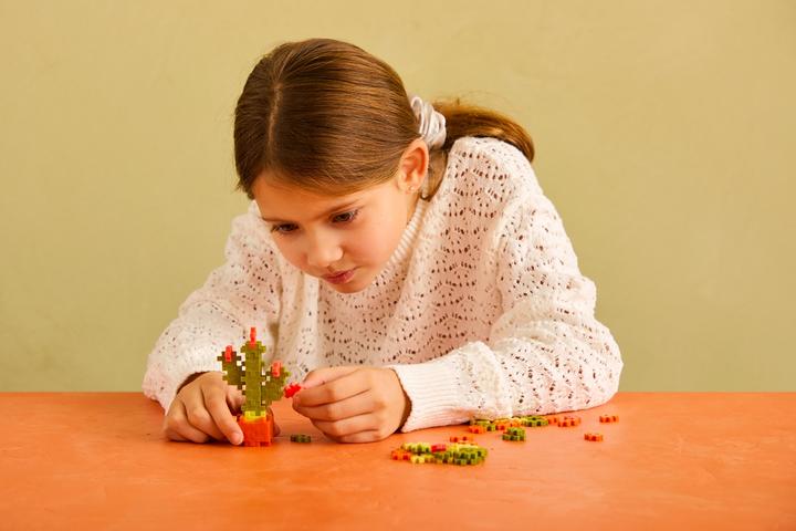 Immagine prodotto Dante 48 Kreativ Bausteine Kaktus