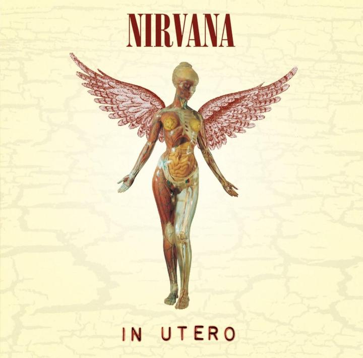 Image du produit In Utero (Nirvana)
