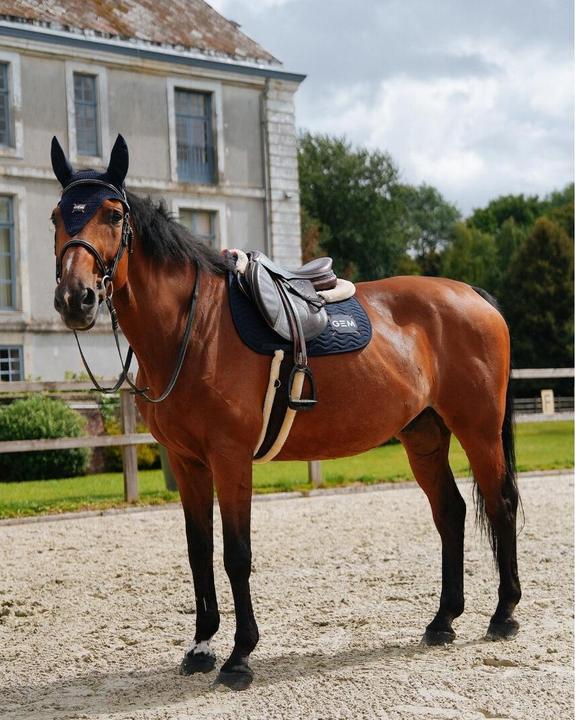 Actual product image GEM Touc Touc Obstacle